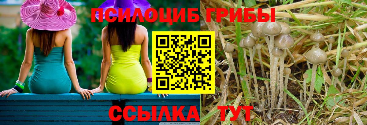 Псилоцибиновые грибы Magic Shrooms Бутурлиновка