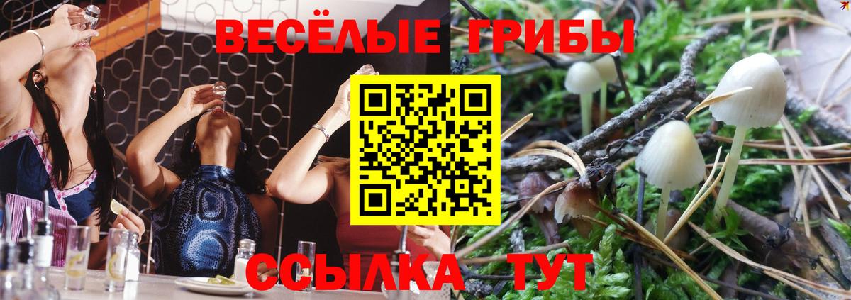 Бутурлиновка  Псилоцибиновые грибы Psilocybe  Вход с VPN 